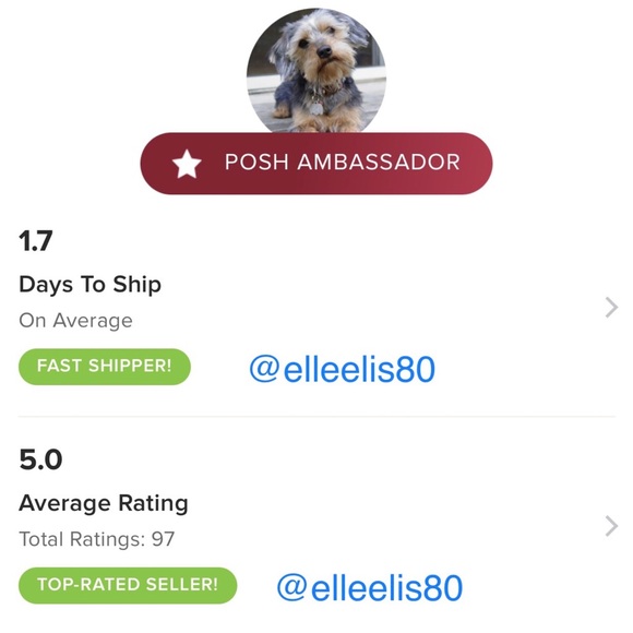 Authentic Pandora Dots & Ridges Clip - LAST ONE - Picture 8 of 8